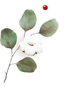 https://test.wildfitness.com/wp-content/uploads/2020/10/floating_image_06.png