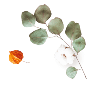 https://test.wildfitness.com/wp-content/uploads/2020/10/floating_image_07.png