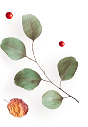 https://test.wildfitness.com/wp-content/uploads/2020/10/floating_image_10.png