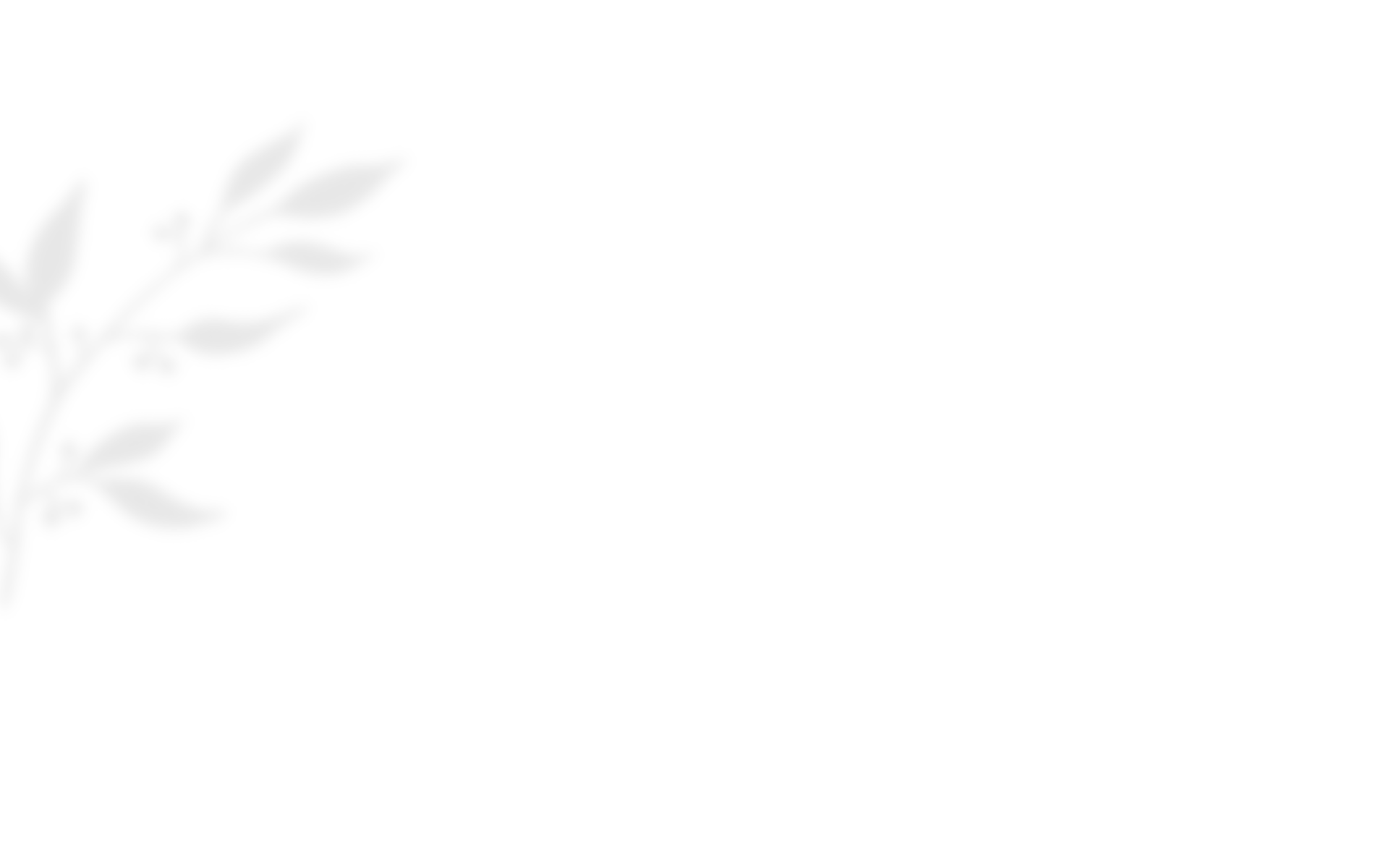 https://test.wildfitness.com/wp-content/uploads/2020/10/shadow_leaves_03.png