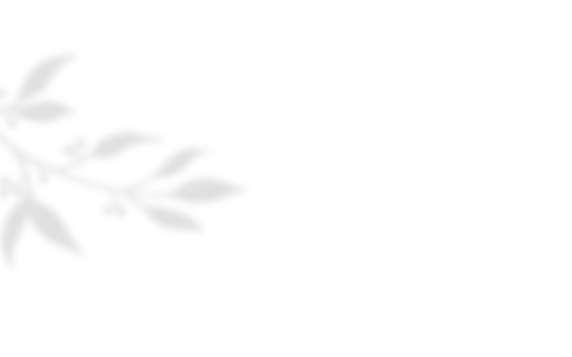 https://test.wildfitness.com/wp-content/uploads/2020/10/shadow_leaves_04.png