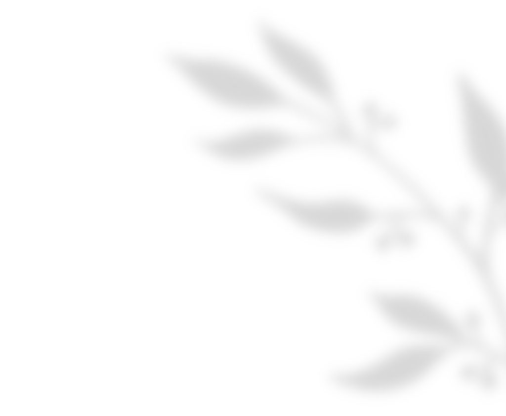 https://test.wildfitness.com/wp-content/uploads/2020/11/shadow_leaves_01.png