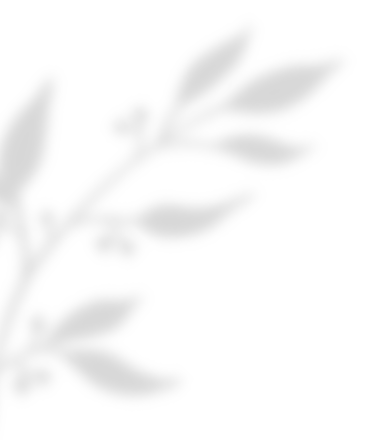 https://test.wildfitness.com/wp-content/uploads/2020/11/shadow_leaves_02.png
