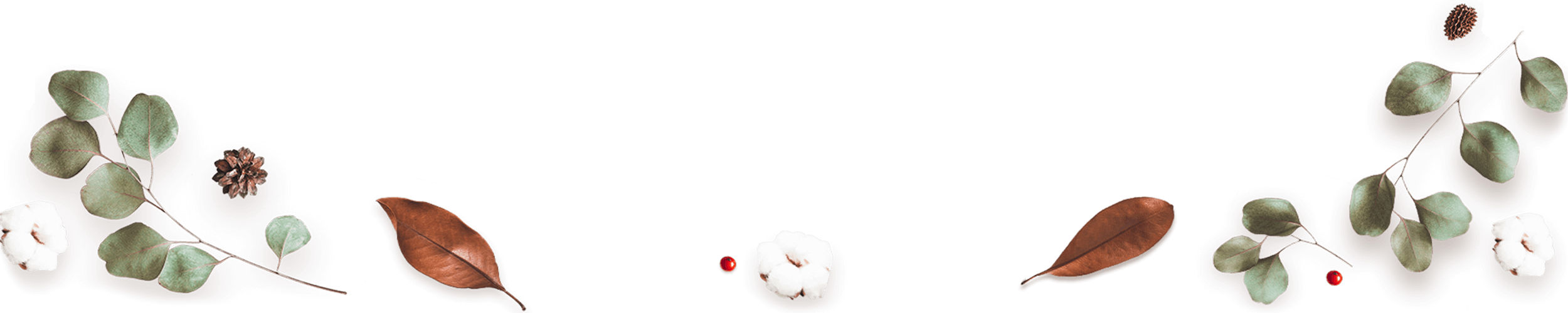 https://test.wildfitness.com/wp-content/uploads/2020/12/floating_image_03.png