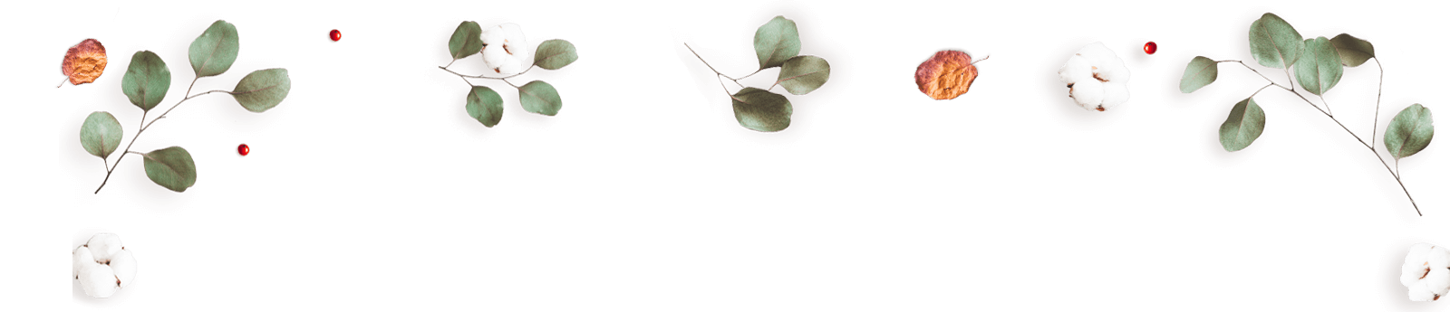 https://test.wildfitness.com/wp-content/uploads/2020/12/floating_image_12.png