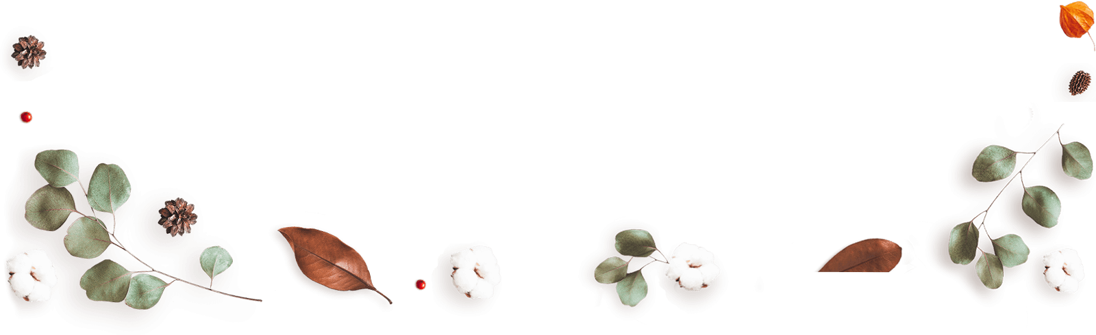 https://test.wildfitness.com/wp-content/uploads/2020/12/floating_image_13.png