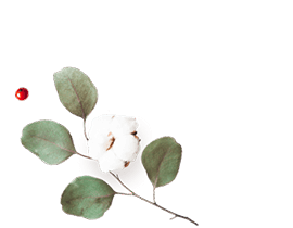 https://test.wildfitness.com/wp-content/uploads/2020/12/floating_image_flower_01.png