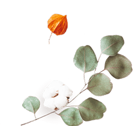 https://test.wildfitness.com/wp-content/uploads/2020/12/floating_image_flower_02.png
