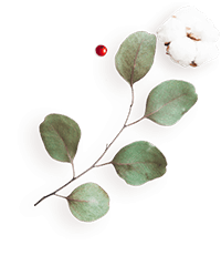 https://test.wildfitness.com/wp-content/uploads/2020/12/floating_image_flower_04.png
